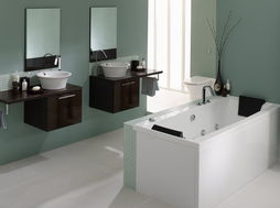 衛(wèi)浴行業(yè)市場呈現(xiàn)三大熱點(diǎn) 走向理性 水暖潔具